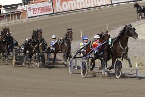 Lunchtrab heute live aus Östersund