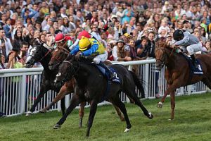 Gruppe I-Finale in England mit Racing Post Trophy