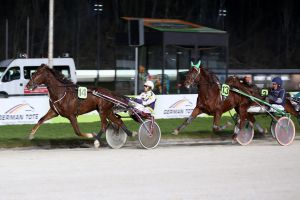 Holzschuh-Gala beim Gelsentrab-Neustart