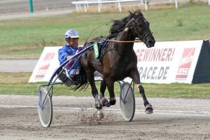 Volles Programm zum Februar-Auftakt Volles Programm zum Februar-Auftakt