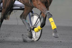 2.100.000 € im Quinté+-Jackpot in Vincennes 2.100.000 € im Quinté+-Jackpot in Vincennes