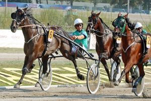 Kay Werner und Panasonic Diamant siegen in der Tagesbestzeit Kay Werner und Panasonic Diamant siegen in der Tagesbestzeit