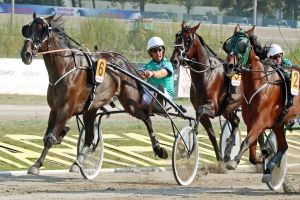 Kay Werner und Panasonic Diamant siegen in der Tagesbestzeit