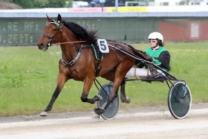 Der Goldhelm testet die Form vor der Breeders Crown