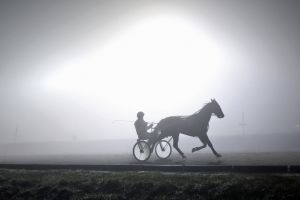 Glanzlichter im Nebel