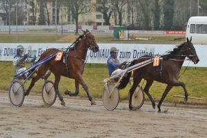 Weiße Weste für Marie Galante und Serafino