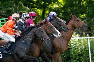 Galopp und Gourmet - Asia Food Festival garniert mit sechs Rennen