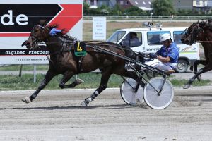 Gäste aus Nord und Süd am Freitagabend im Pferdesportpark