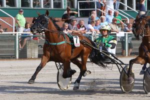 Dintrab-Champions starten früh ins Rennjahr