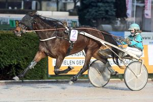 Linda Matzky gewinnt das Stamer-Cup-Finale