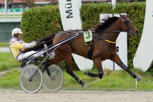 Breeders Crown-Sieger gibt seinen Saisoneinstand