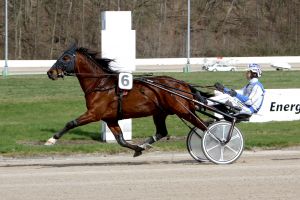 »Goldy« an der Spitze eines Triumphzugs »Goldy« an der Spitze eines Triumphzugs