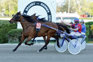 Michael Hamann ist der Fritz-Brandt-Triumphator Michael Hamann ist der Fritz-Brandt-Triumphator