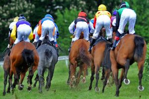 Volle Starterfelder beim Freiberger-Renntag in Seidnitz am Samstag