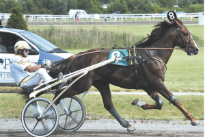 Dritter Renntag im Magna Racino