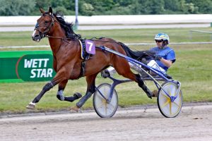 Derbykandidaten testen das neue Geläuf - Endlich geht es wieder los ! Derbykandidaten testen das neue Geläuf - Endlich geht es wieder los !