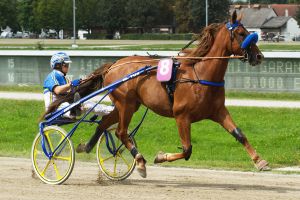 Biendl-Trio greift nach dem Sieg im Amateur-Cup