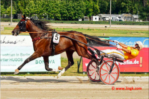 Vorläufe zum trotto.de 124.Deutschen Traber-Derby: Drei der vier Gesetzten straucheln Vorläufe zum trotto.de 124.Deutschen Traber-Derby: Drei der vier Gesetzten straucheln