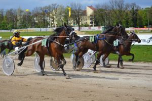 PMU-Sprint-Warm Up zum Volksfestrenntag