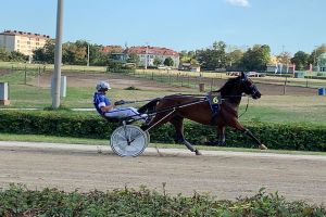 Drei große Gewinner am grandiosen „Bascot“-Renntag:
A Chocolate Dream, Erik Adielsson & BTV Drei große Gewinner am grandiosen „Bascot“-Renntag:
A Chocolate Dream, Erik Adielsson & BTV