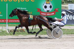 Endlich wieder Trabrennsport im Pferdesportpark Berlin-Karlshorst