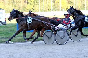 »Amateur-Trophy« geht an Nick Schwarma