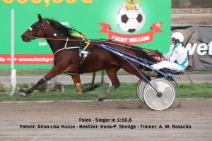 Falco im Stamer Cup 2019