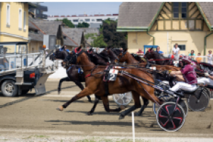 PMU-Renntag mit 3 Premium Races