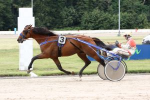 Fünfer-Pack vom »Goldhelm« Fünfer-Pack vom »Goldhelm«