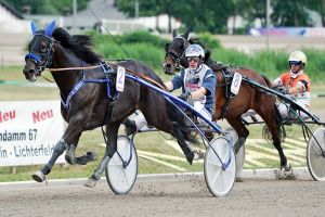 Robbin Bot und Lancaster: Ein Dreamteam Robbin Bot und Lancaster: Ein Dreamteam
