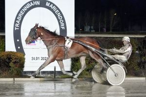 Paris Turf weiterhin in Bestform Paris Turf weiterhin in Bestform
