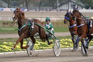 Der Goldhelm beherrscht die Gold-Serie