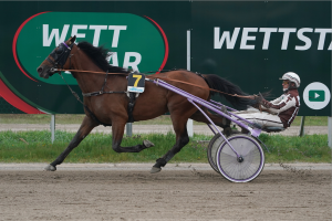 Karlshorster Mai-Meisterschaft geht an Michael Hönemann Karlshorster Mai-Meisterschaft geht an Michael Hönemann