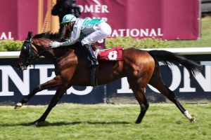 Rip Van Lips unter Gerald Mosse gewinnt das Comer Group International 50. Oleander-Rennen Rip Van Lips unter Gerald Mosse gewinnt das Comer Group International 50. Oleander-Rennen