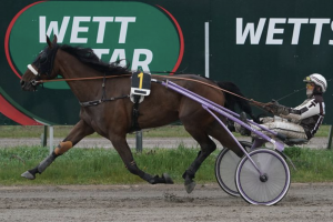 Amateure wieder am Start Amateure wieder am Start