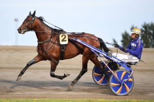 Vorschau V75® am 09.10.2021 in Åby - powered by trotto.de und „Jörns swedish racing world“