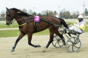 Prominente Comebacks in Daglfing