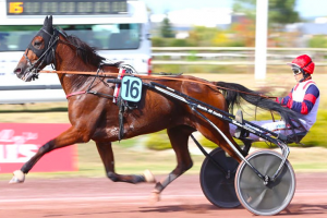 Cleangame vs. Etonnant vs. Ampia im