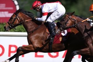 9.200 Zuschauer feiern Irish Raceday auf der Rennbahn Hoppegarten 9.200 Zuschauer feiern Irish Raceday auf der Rennbahn Hoppegarten