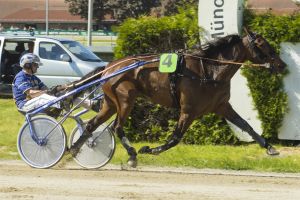 Starke Comebacks und TF-Turbulenzen