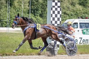 Hopp oder top bei den Favoriten