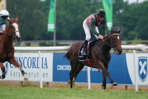 Donner Earl auf dem Weg ins Deutsche Derby Donner Earl auf dem Weg ins Deutsche Derby