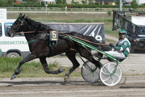 Victor Gentz „Mann des Tages“ Victor Gentz „Mann des Tages“