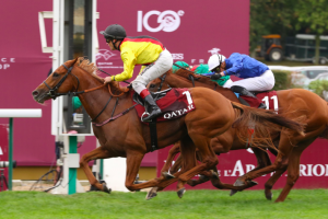 Das große Finale mit Galopp-Weltstar Torquator Tasso! Das große Finale mit Galopp-Weltstar Torquator Tasso!