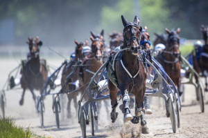 Days of Thunder am Nienhausen Busch