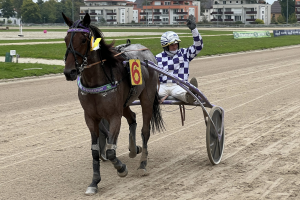 Ein „Rennpony“ mit Herz und Kopf Ein „Rennpony“ mit Herz und Kopf