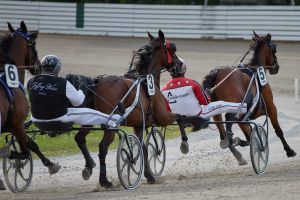 PMU-Matinée mit vollen Feldern und V6-Jackpot PMU-Matinée mit vollen Feldern und V6-Jackpot