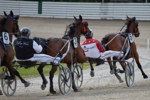 PMU-Matinée mit vollen Feldern und V6-Jackpot