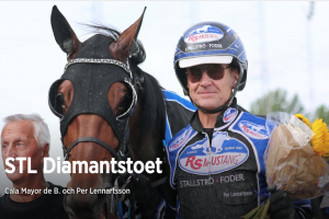 Am Samstag die V75 in Eskilstuna am 01. Oktober Am Samstag die V75 in Eskilstuna am 01. Oktober