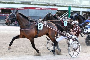 Großer Sport und V7-Jackpot beim Schwarzer Steward-Finale